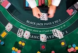 Panel dasbor rujukan wonplay888 menampilkan daftar rujukan aktif dan komisi terakumulasi